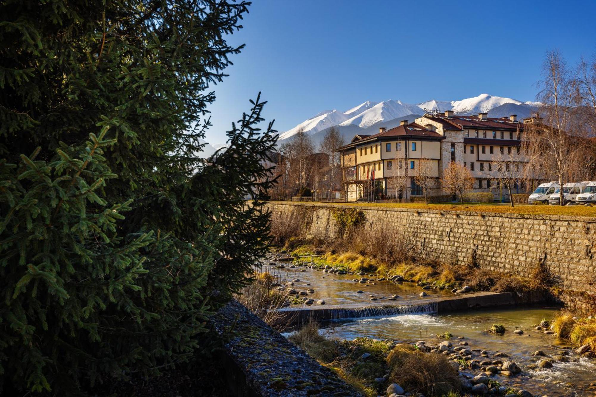 Coliving Bansko, The Social Hotel By Networking Premium Exteriér fotografie